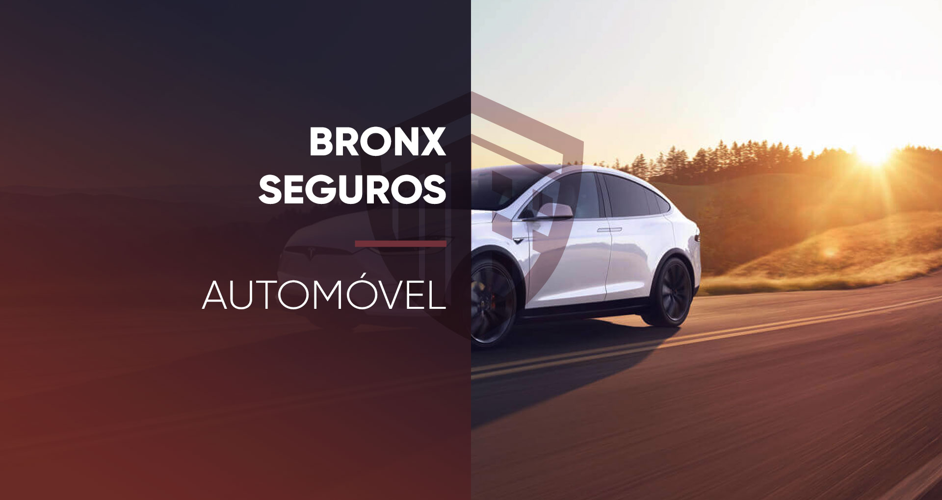 Bronx Seguros de Vida